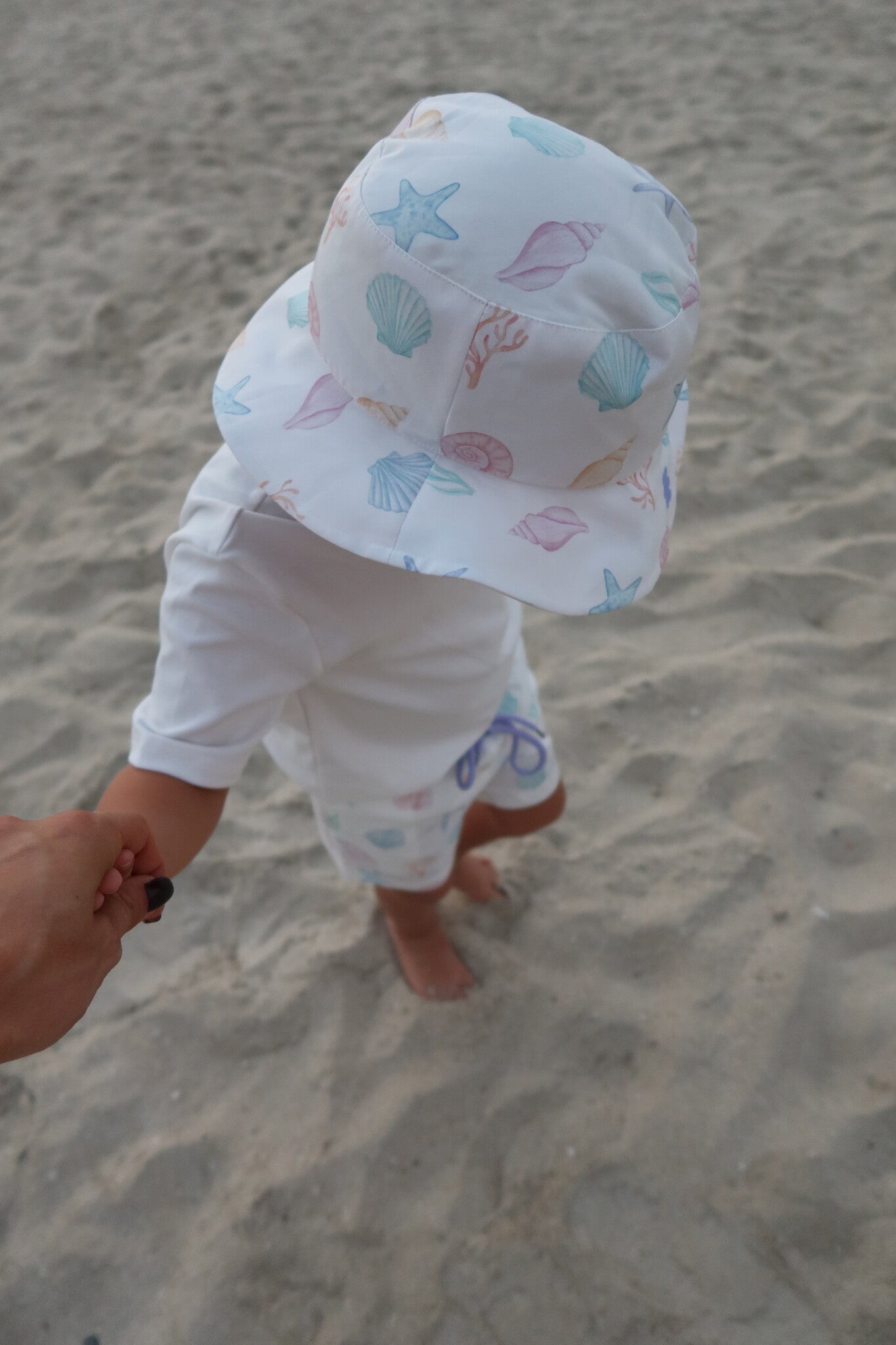 seashell Swim Shorts